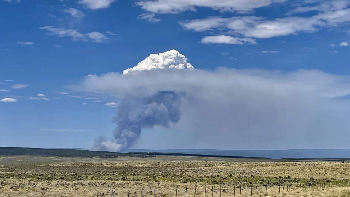 A man was trying to cremate his dog when he accidentally started a wildfire in a remote mountain town in Colorado, officials said.