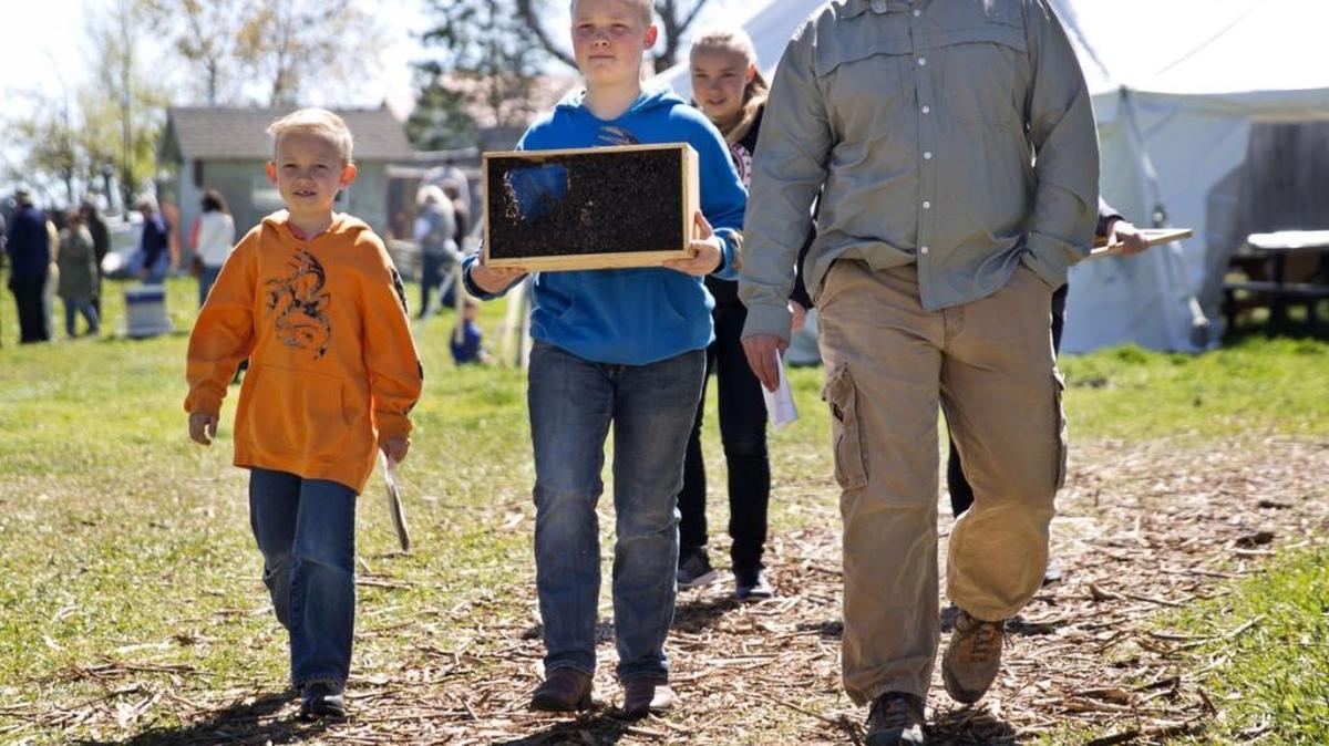 Jack Bruns carries a hive of bees to the family car with his brother Brogan, left, and father, Steve during Bee Day at Tubbs’ Berry Farm in Twin Falls.