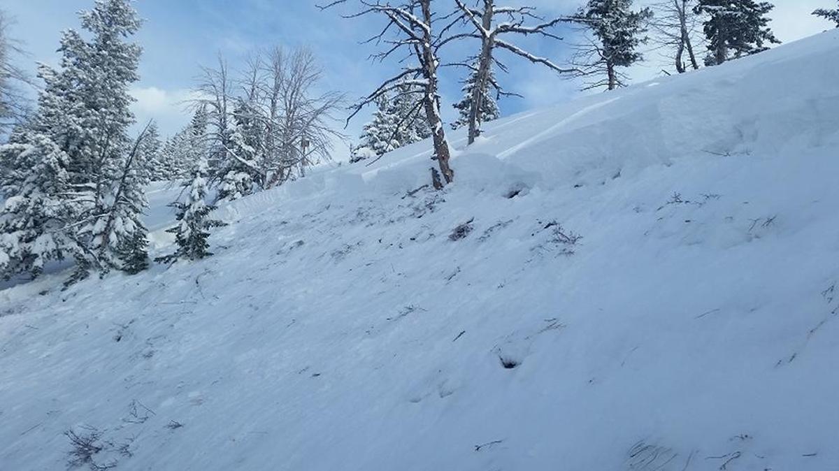This avalanche occurred outside the Sun Valley ski area boundary on Monday, Dec 14.