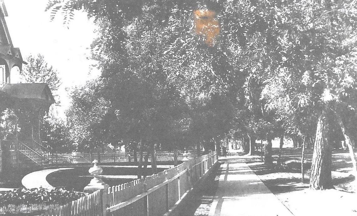 By the 1890s Grove Street was noted for its fine trees and homes.