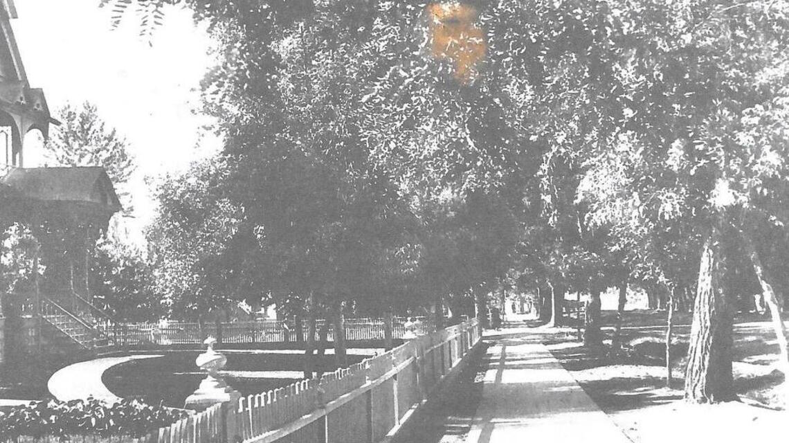 Boise became the City of Trees, but in the 19th century, there was a love-hate relationship