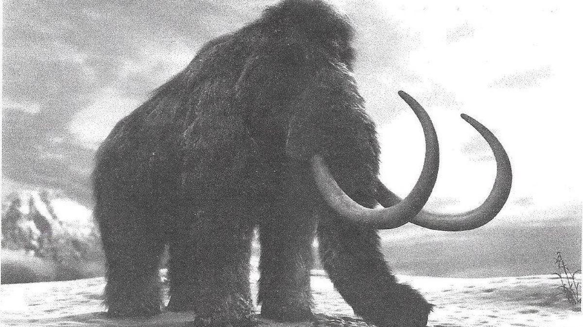 Clovis Man hunted mammoths in Idaho 13,500 years ago.