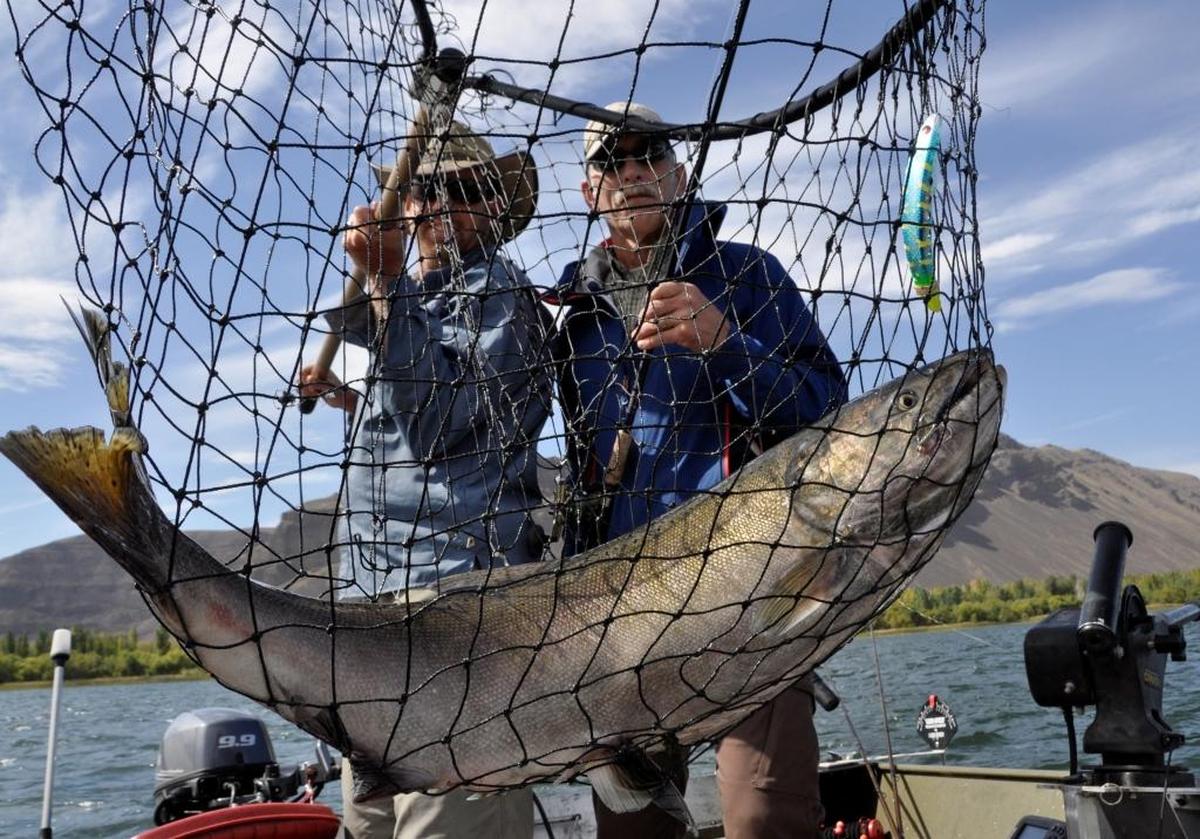 Salmon fishing guide Dave Grove, left, nets a fall Chinook for David Moershel while fishing on the Columbia River near Desert Aire, Wash. A federal judge has told the Environmental Protection Agency to devise a plan for cooling the Columbia’s waters to protect salmon.