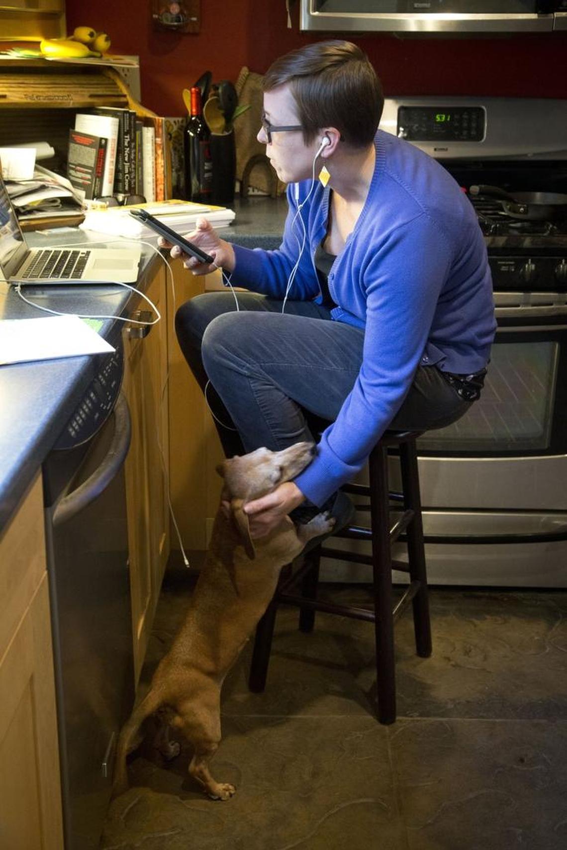Boise City Council candidate Naomi Johnson makes voter phone calls from her kitchen counter, with support from one of her dogs, Willy. Johnson, among four candidates for Council Seat 4, is one of many Democrats or progressives across Idaho who are running for city offices this year.
