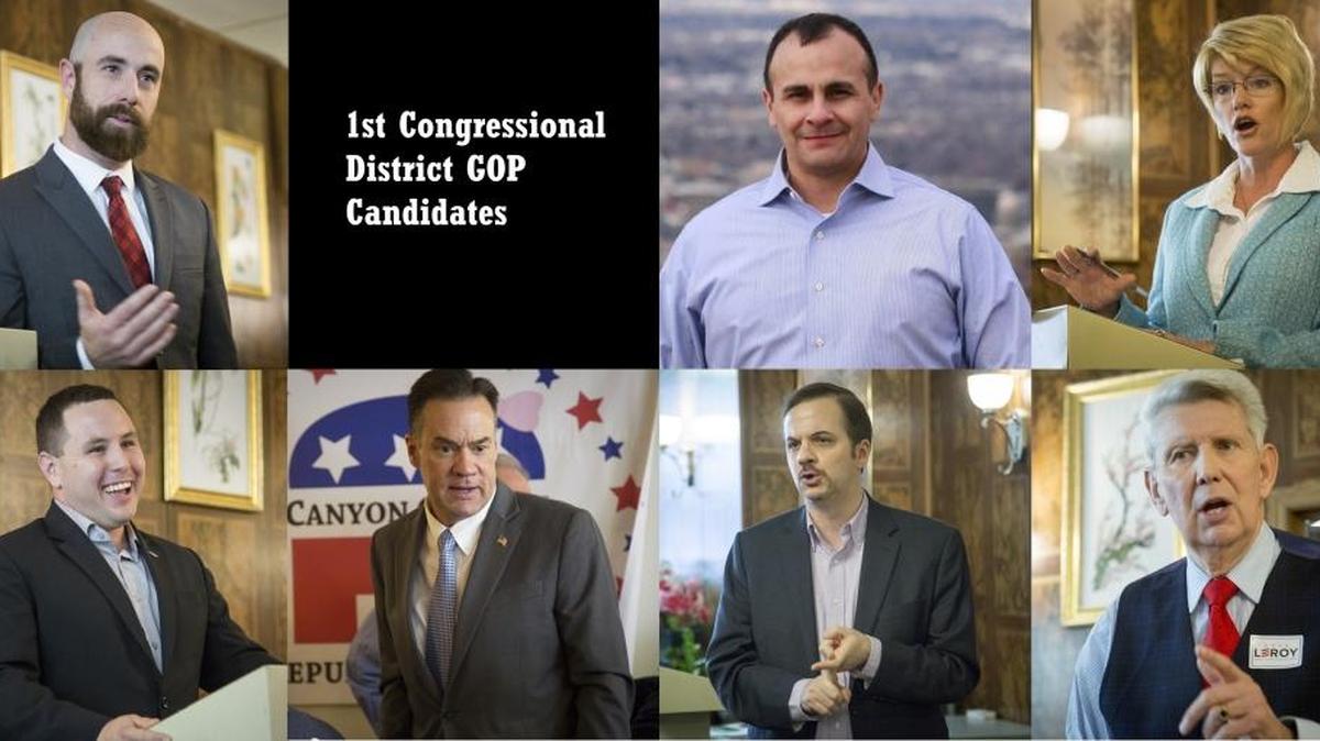Republican candidates for Idaho’s 1st Congressional District House seat in the May 2018 primary. Clockwise from upper left: Luke Malek, Alex Gallegos, Christy Perry, David Leroy, Michael Snyder, Russ Fulcher, Nick Henderson.