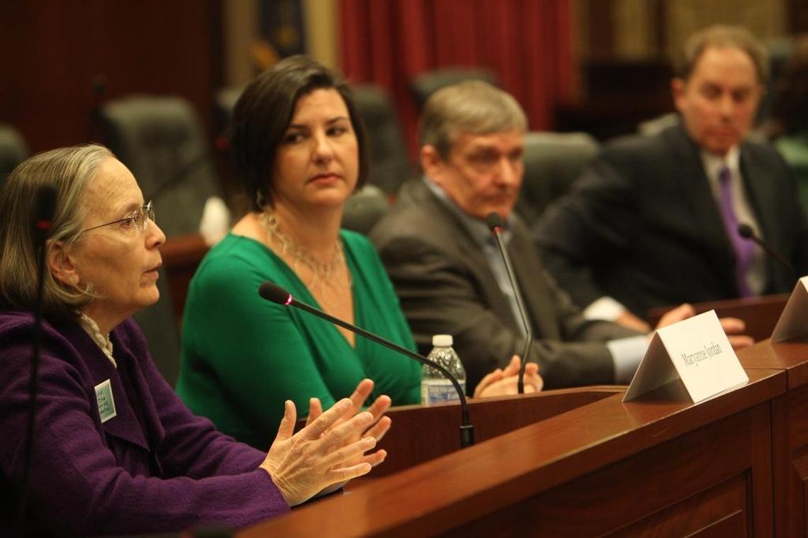 Boise City Councilwoman Maryanne Jordan, left, speaks at the Statehouse in 2013. Now a state senator, Jordan will leave her spot on the City Council in January. She said people running for city offices should prepare themselves for a heavy workload if they win.