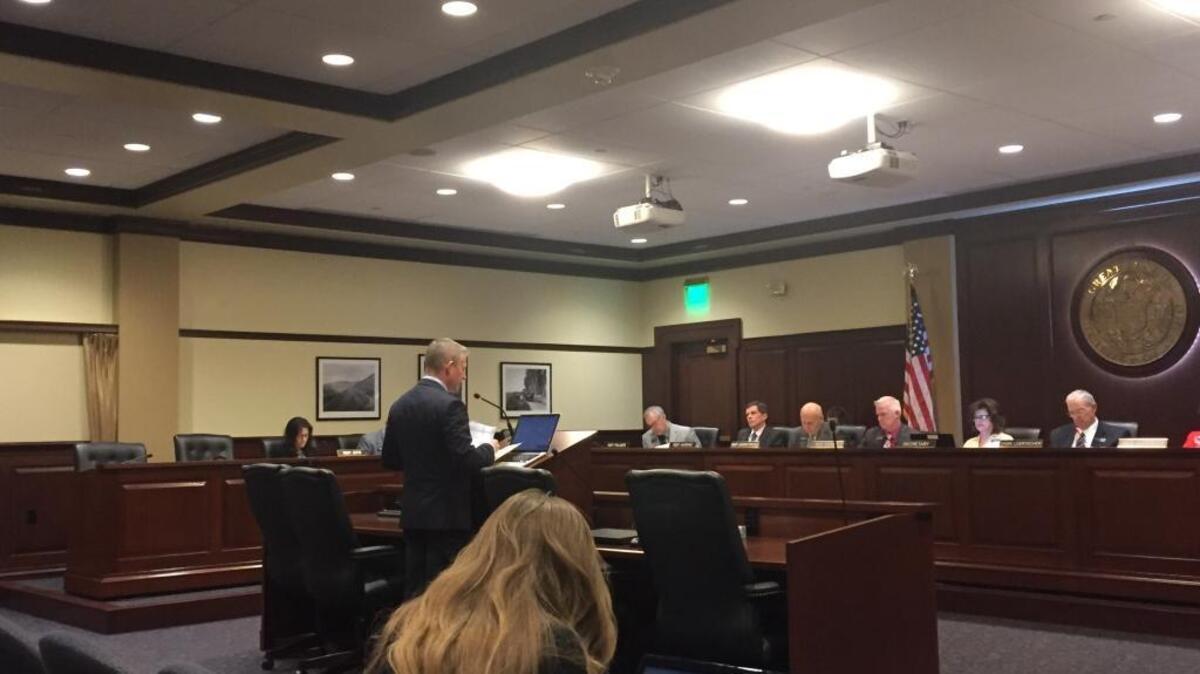House Minority Leader Mat Erpelding, R-Boise, speaks to the House State Affairs Committee Wednesday.