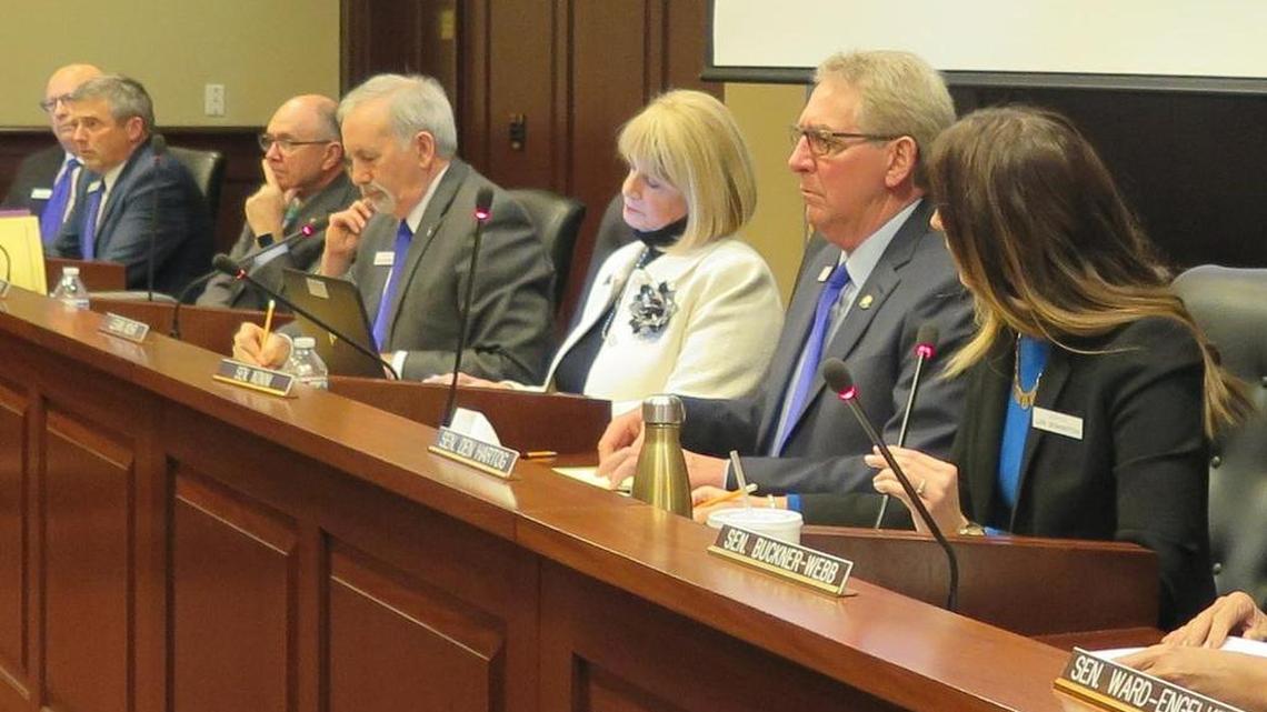 Members of the Senate Education Committee listen to testimony concerning the new science standards for Idaho schools.