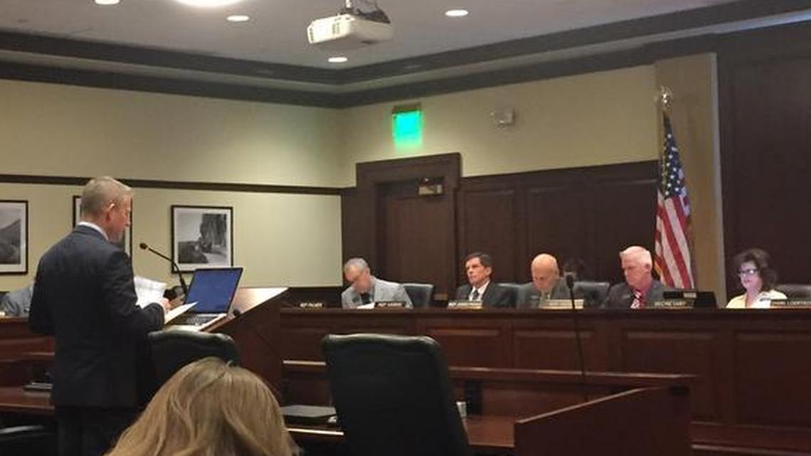 House Minority Leader Mat Erpelding, D-Boise, speaks to the House State Affairs Committee on Feb. 14, 2018.