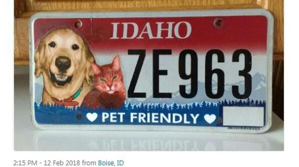 Rep. Hy Kloc, D-Boise, on Feb. 12 tweeted in support of a bill that would have created a special license plate to raise funds for spay and neuter programs in rural Idaho.