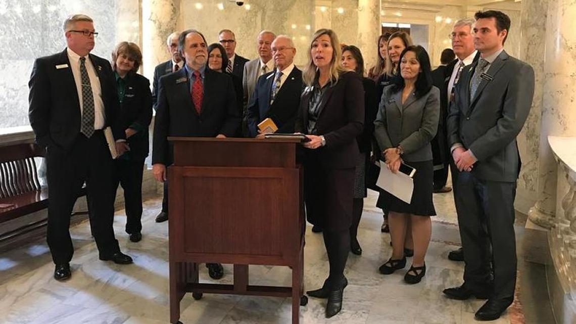 Rep. Gayann DeMordaunt, R-Eagle, speaks at a news conference in the Idaho Capitol rotunda on Monday.