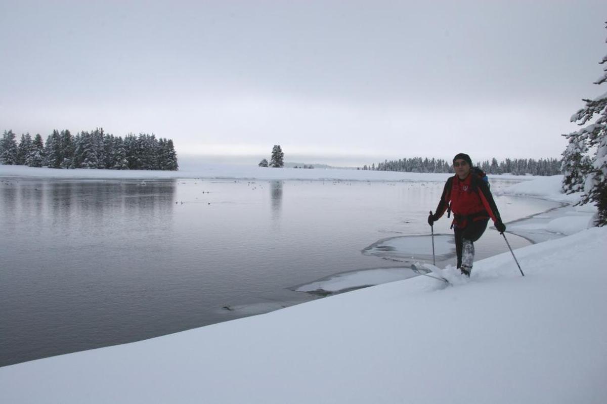 A cross-country skier treks along the Henry’s Fork of the Snake River in Harriman State Park near Island Park.