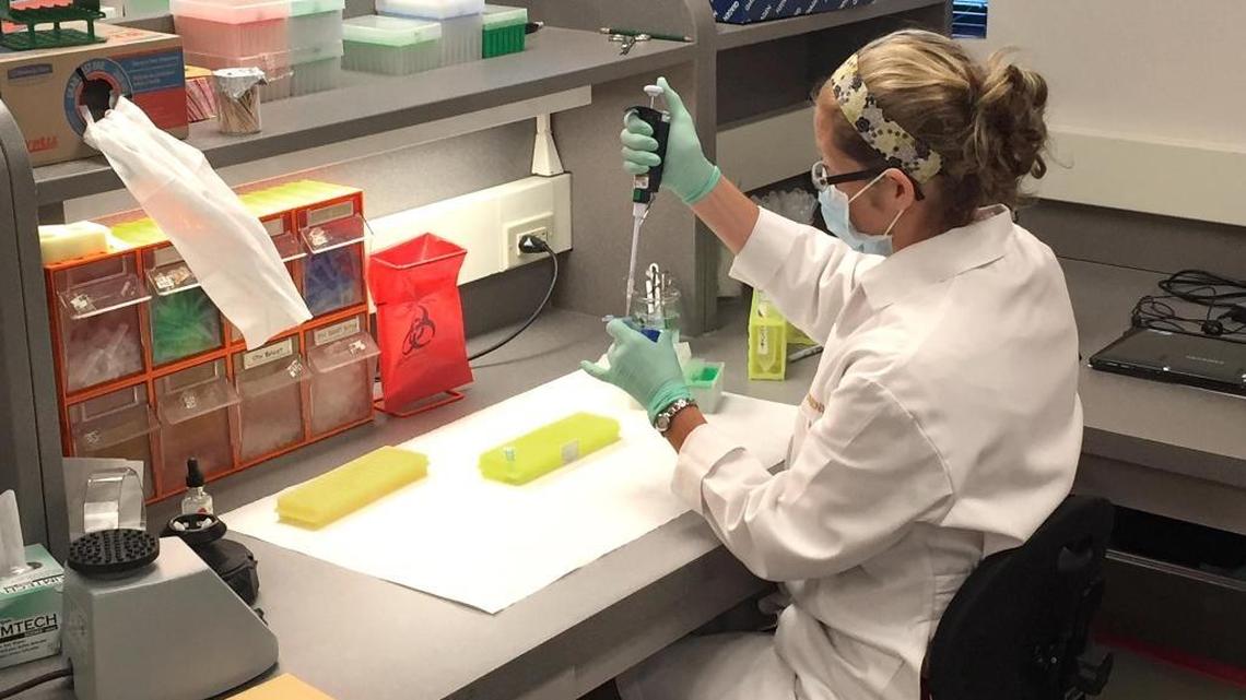 A forensic DNA scientist works in ISP’s Forensic Services lab.