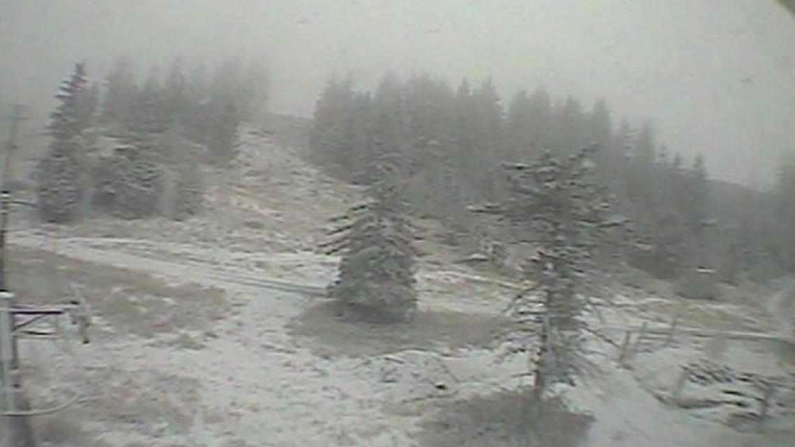 Bogus Basin’s Mountain Cam on Showcase Run showed snowflakes stuck to the ground on Tuesday morning.