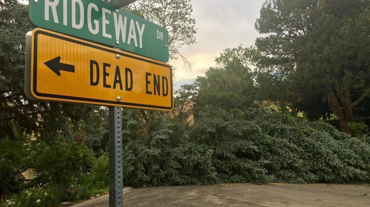 The windstorm on Sunday downed a tree on Hillway Drive in Boise.