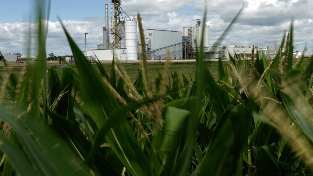 Some worry whether a “fourth branch of government” — rulemakers in federal agencies — has gained too much influence. In this 2013 photo, an ethanol plant stands next to a cornfield near Nevada, Iowa. At the time the Obama administration was under fire from the Environmental Protection Agency for failing to study as legally required the impact of requiring ethanol in gasoline and ensuring that new regulations intended to address one problem do not actually make other problems worse.(AP)