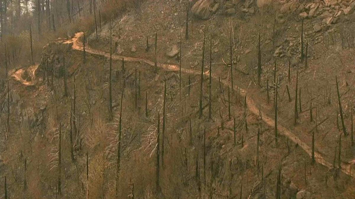 Fire damage to the area surrounding the Angel’s Rest trail in the Columbia River Gorge near Cascade Locks, Ore.