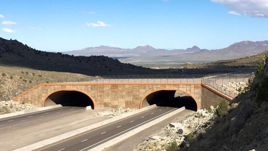 Pictured is a wildllife overpass on interstate 80 in Nevada. (Photo by Beth Pratt-Bergstrom.)