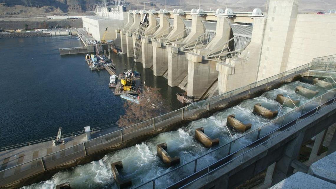 A fish ladder for salmon is in the foreground at Lower Monumental Dam on the Snake River in Washington. Idaho Sen. Jim Risch has introduced legislation to protect Lower Monumental and other dams that conservationists hope to remove in an effort to boost salmon numbers.