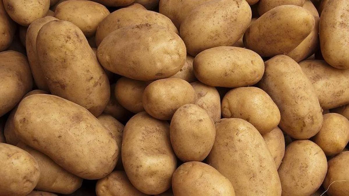 As profitable as NAFTA has been for Idaho agricultural industries, it continues to pose problems with sugar and potatoes, write two Idaho legislators.