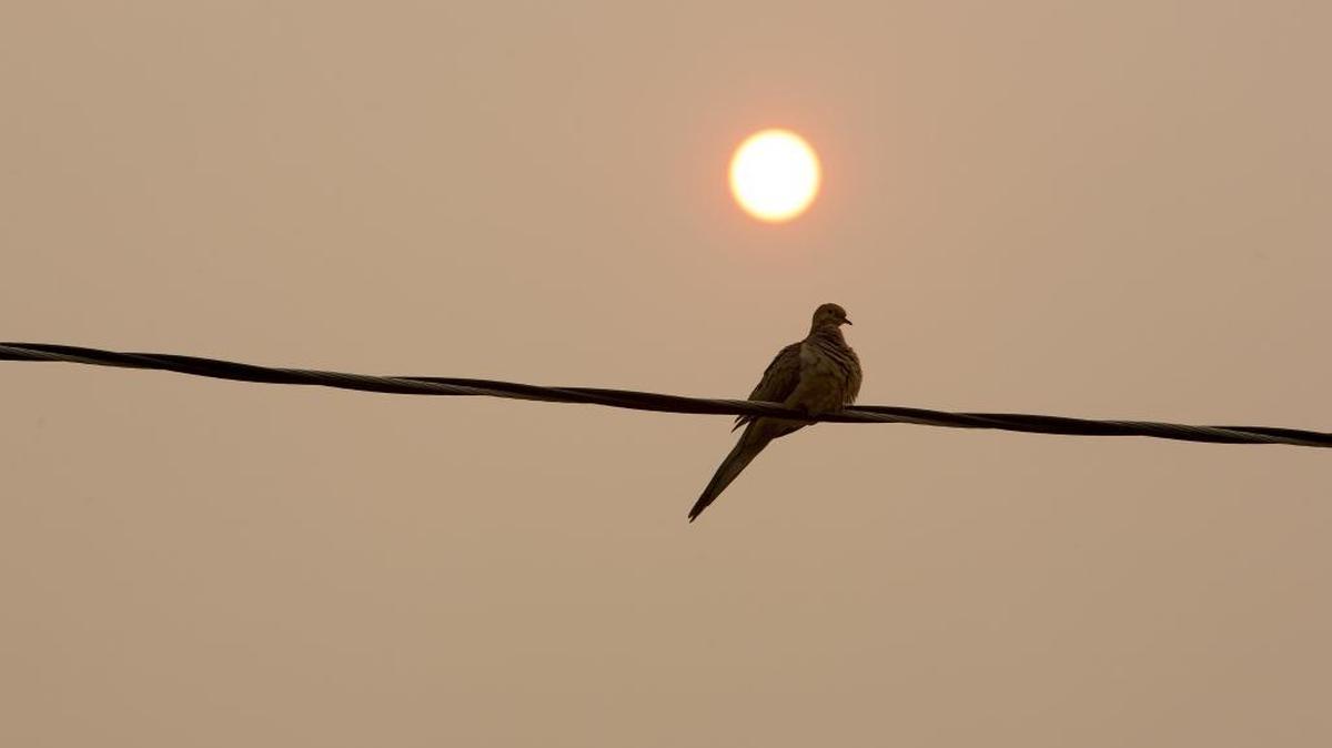 Smoky sky in Boise on Sept. 6.