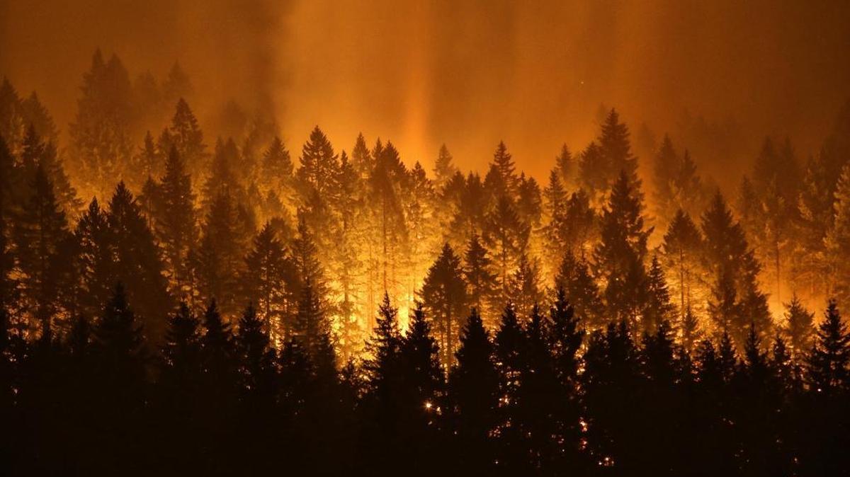 The Eagle Creek wildfire burns on the Oregon side of the Columbia River Gorge near Cascade Locks on Sept. 5. A teenager lighting fireworks may have started the blaze that threatened popular gorge landmarks and closed the state’s east-west freeway.