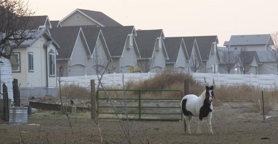 Farm heritage and new development intersect in Kuna, where ponies roam just a fence away from subdivisions.