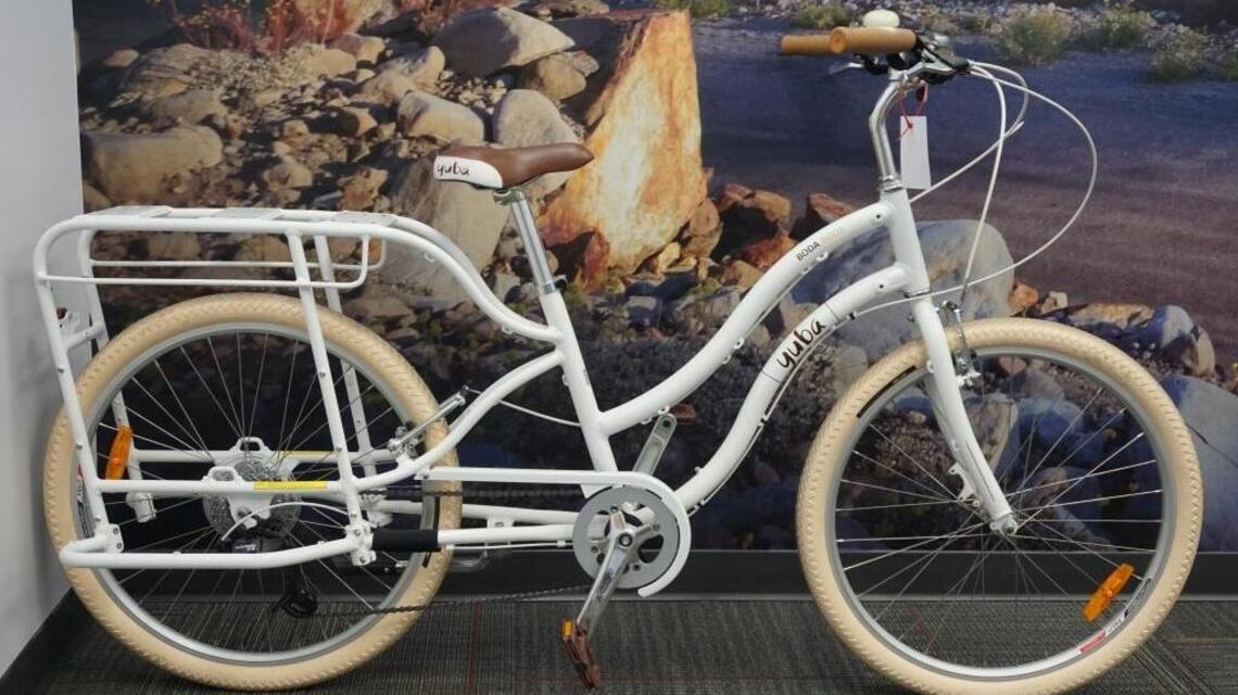Trikes, electric bikes, cruisers fill Boise cycling niches