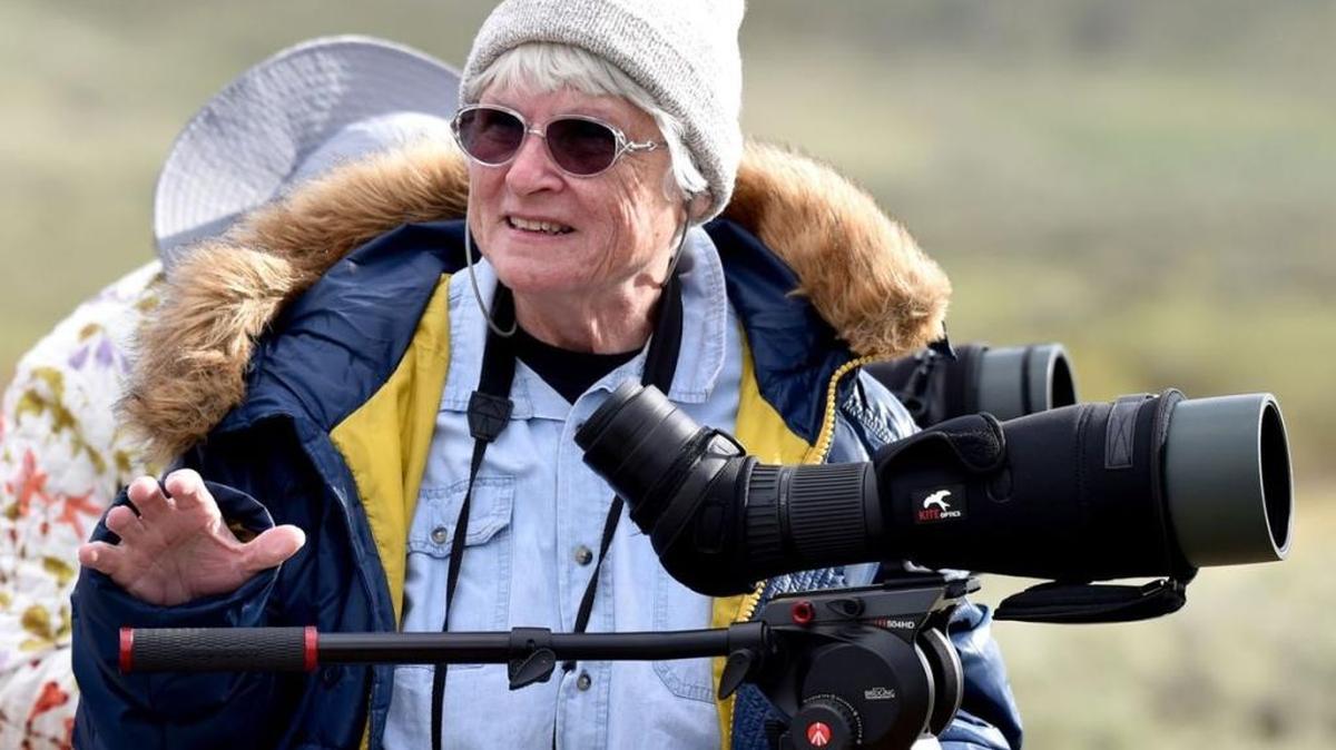 Karen Wolfe of Phoenix has become a dedicated wolf watcher in Yellowstone National Park since she first saw one of the animals in 2011. She videos some of her encounters, puts them on DVDs and watches them with her granddaughter.