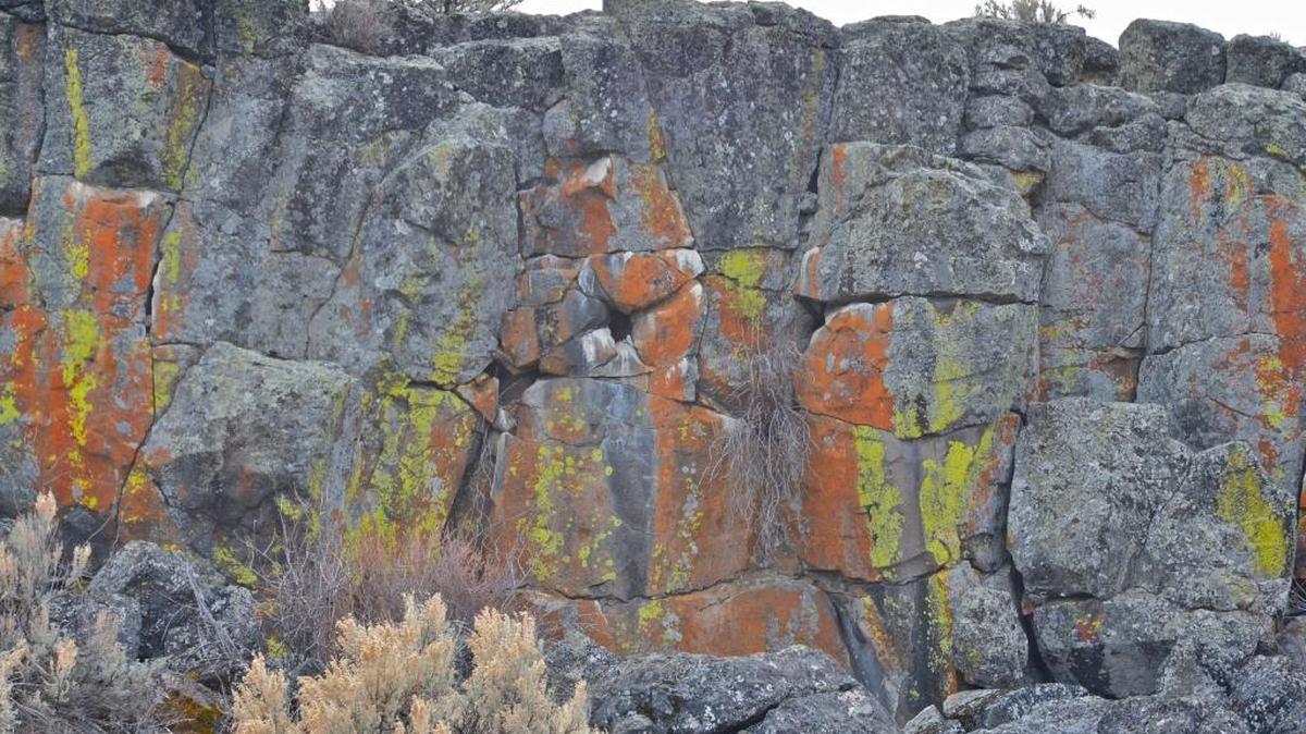 Basalt is all over southern Idaho. Learn more about it Saturday, April 28. at the Idaho Museum of Mining and Geology in Boise.