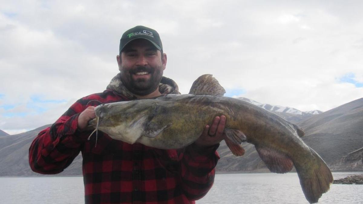 Caleb Nichols of Boise shows off a monster flathead catfish he caught at Brownless Reservoir. This fish weighed 23 pounds — and they can grow to twice that size.