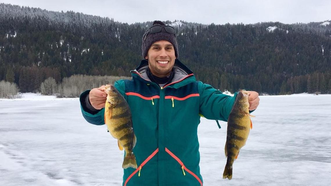 Ice fishing bites can be tricky to detect. Even big fish — like these jumbo perch from Lake Cascade — are notorious for light bites through the ice.