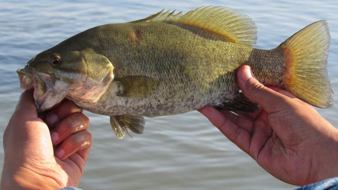 Hopefully, the harsh winter won’t have a negative impact on bass spawning in the spring.
