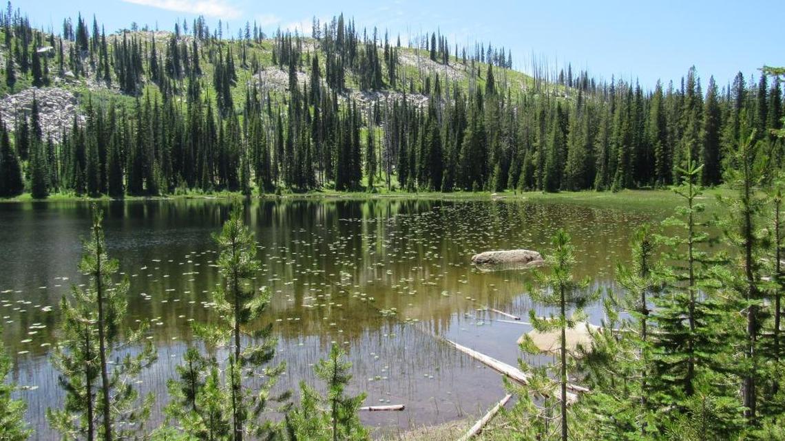 Alpine lakes provide good results in part because of a lack of fishing pressure.