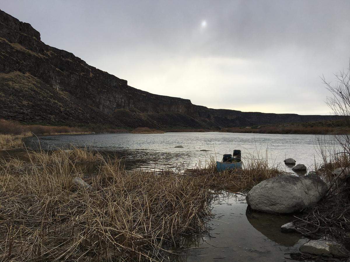 Our canoe, “Old Blue,” a 1975 Old Town canoe that weighed a ton, is nestled among the reeds in the Snake River Canyon a few miles below Swan Falls Dam as we prepare to wet-line portage the canoe through some rapids on the cold and windy morning of April 14, 2021.