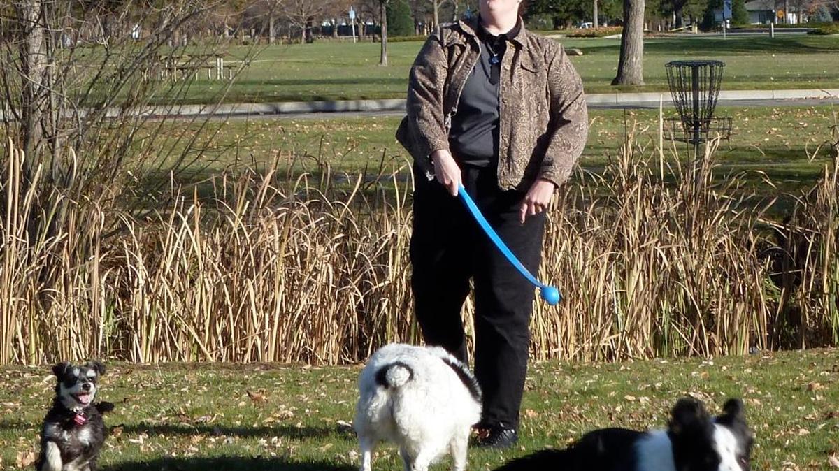 Hawke DeCamp tosses a ball for her excited dogs at Ann Morrison Park, which has a no-leash area in the winter.