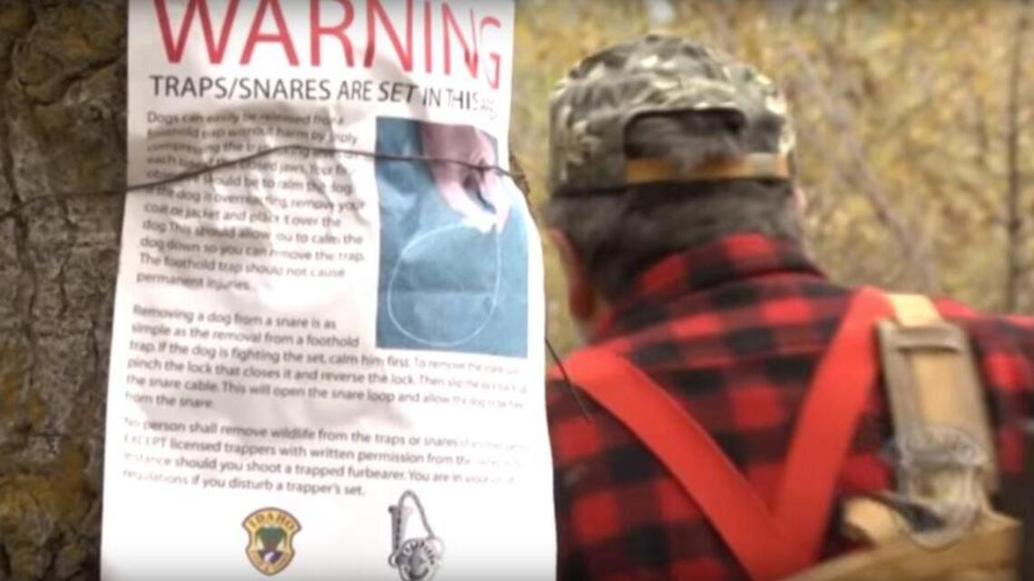 Keep your pet safe from traps on the trail