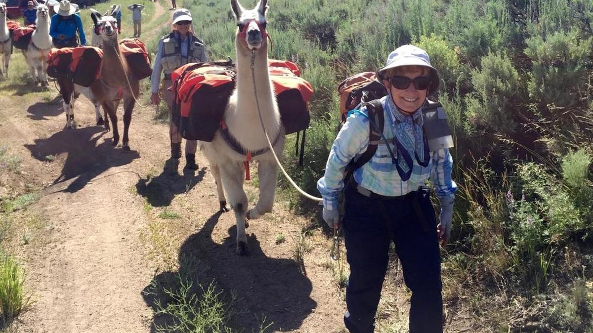 Sarah Michael heads up the trail with a pack llama during her summer trek in the Central Idaho wilderness.
