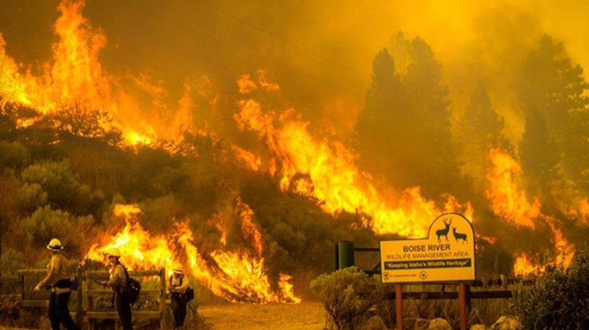 Large chunks of the Boise River Wildlife Management Area burned this summer. The area provides critical winter range for deer and elk.