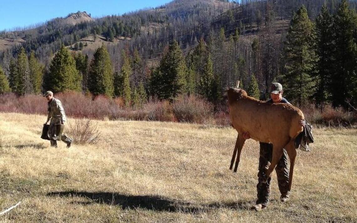 Ready, aim, fine! Decoy animals catch unethical Idaho hunters