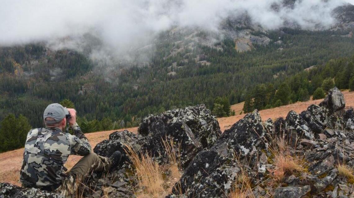 Hunting requires research, patience, flexibility — and a willingness to fail