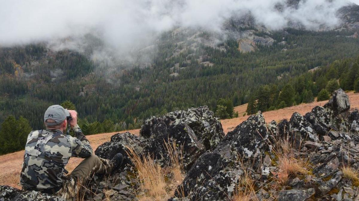 Big-game animals, just like this hunter, can blend into their surroundings.