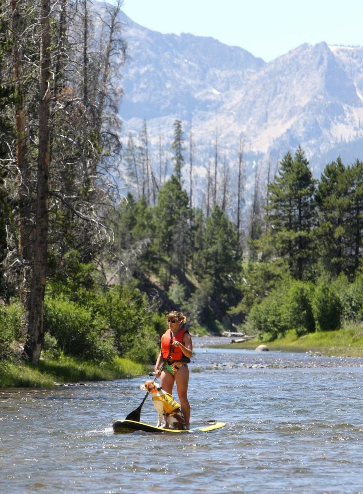 A stand-up paddleboarder navigates the Salmon River at the base of the Sawtooth Mountains a few miles north of Stanley.