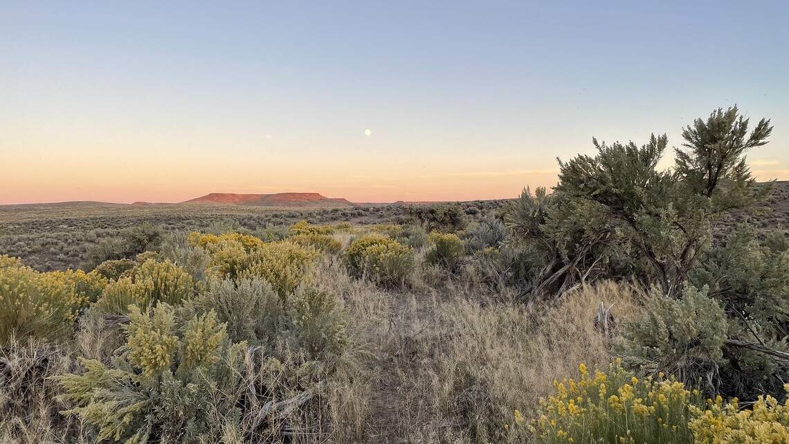 New map shows public land in Idaho flagged for potential disposal