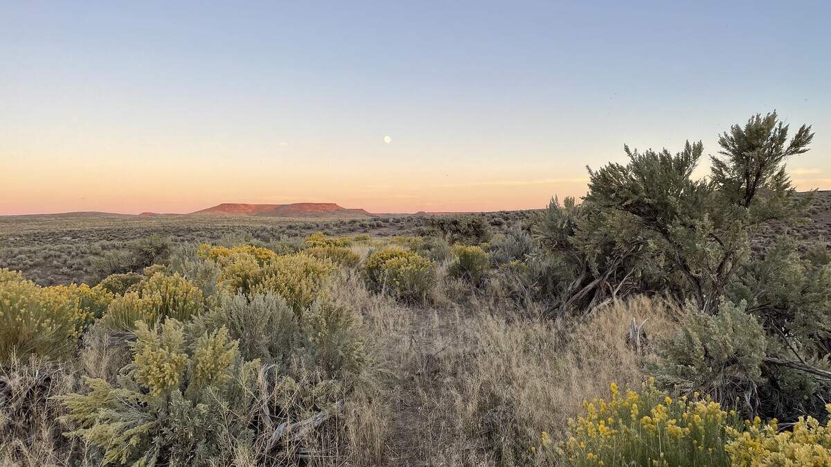 A fall sunset over the blooming rabbitbrush, Wyoming sage and Basin Big sage in the Piute Creek area of the Bureau of Land Management’s Owyhee Field Office. The U.S. Supreme Court declined to hear a Utah lawsuit against the federal government that could have meant the transfer of millions of acres of BLM land to states, including in Idaho.