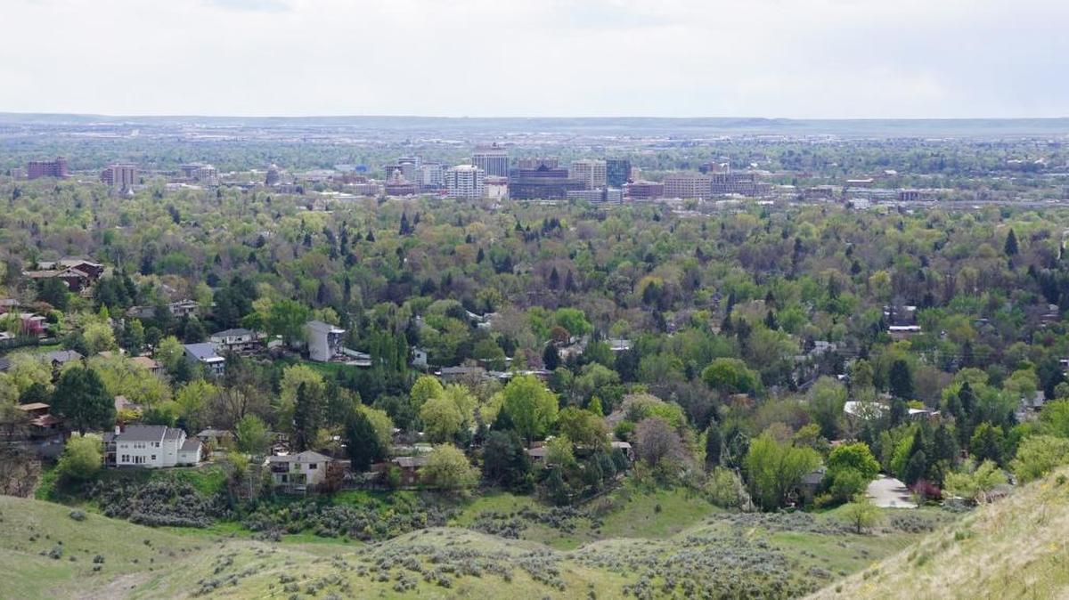 Hillside to Hollow offers one of the better “City of Trees” views in town.