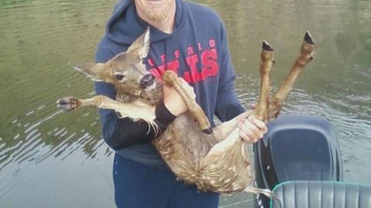 Idaho angler Garrett Buffington rescued a fawn during a fishing trip at C.J. Strike Reservoir.