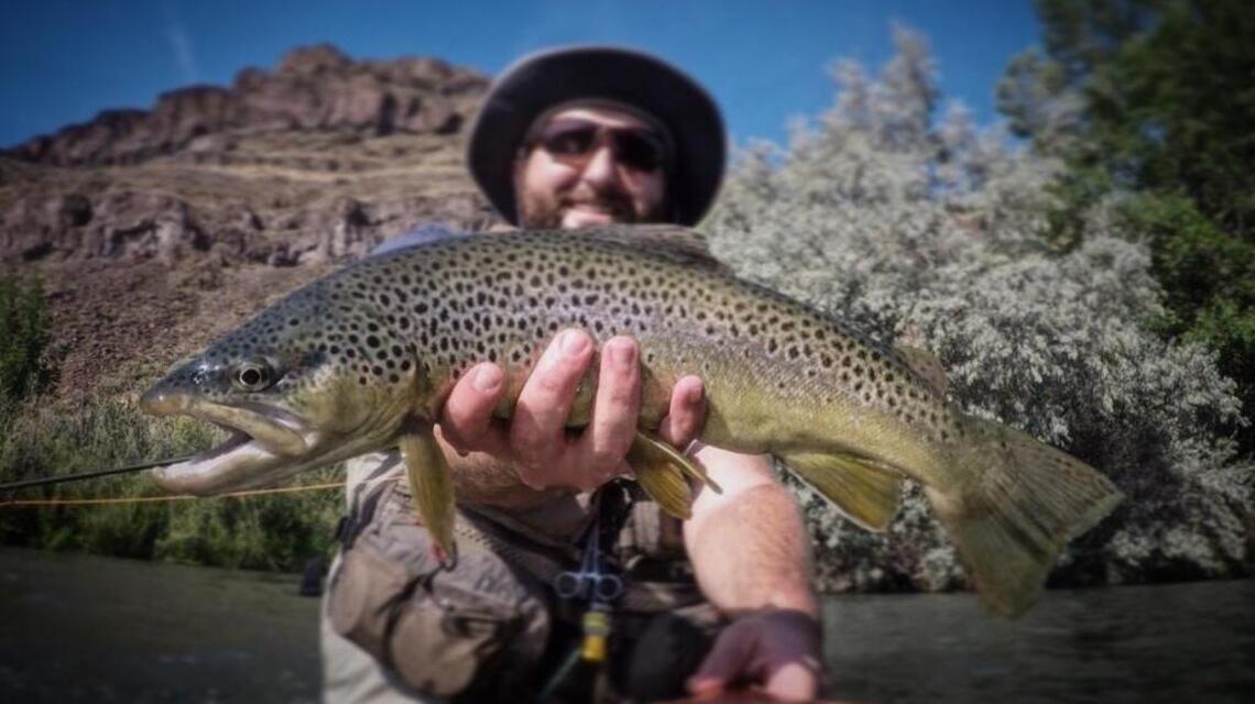 Fly-fish the Owyhee, watch kokanee spawn at Lucky Peak (fishing report, Aug. 25)