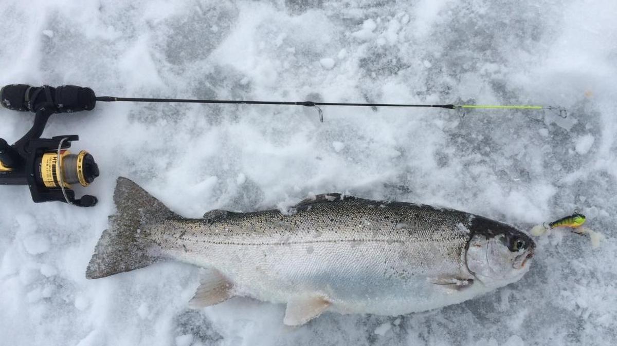 Trout are biting through the ice at Warm Lake, C.J. Strike, Lake Cascade and eastern Idaho’s Chesterfield Reservoir.