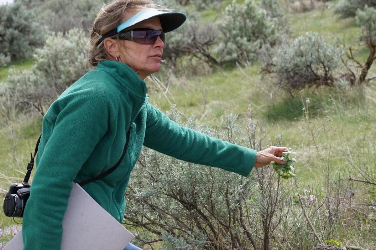 Botanist Ann DeBolt of the Idaho Botanical Garden.